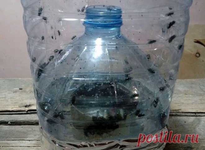 На нашем участке нет ни мух, ни ос, ни комаров. Поделюсь бесплатном средством, которое позволит себе каждый
Мы живем в частном доме и лето -самое любимое время года, когда можно проводить вечера в беседке за душевными разговорами в приятной компании. Но, портит …
Читай дальше на сайте. Жми подробнее ➡