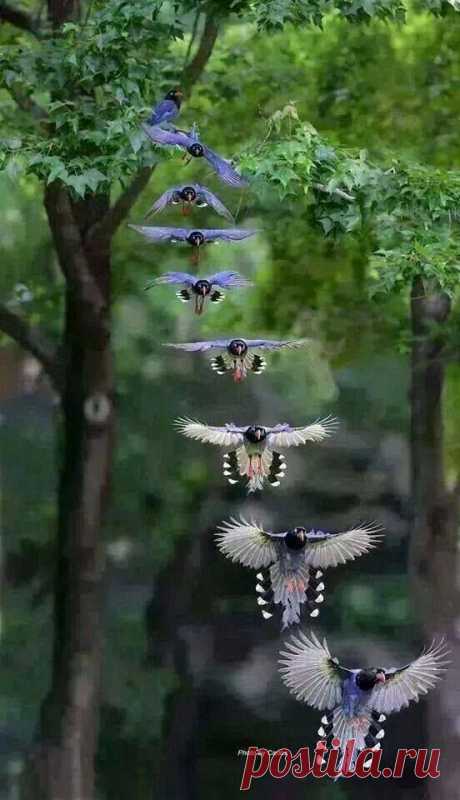 (72) Facebook