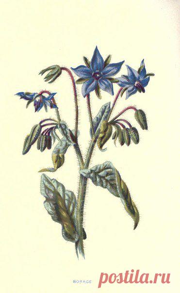 ~ MON PLAISIR ~ Вещи для души. Винтаж,Прованс.