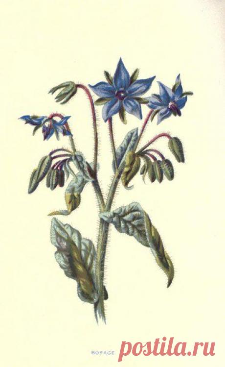 ~ MON PLAISIR ~ Вещи для души. Винтаж,Прованс.