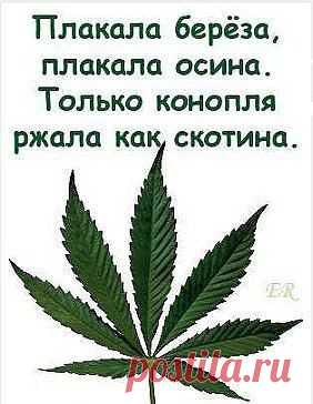 В точку ........)))
