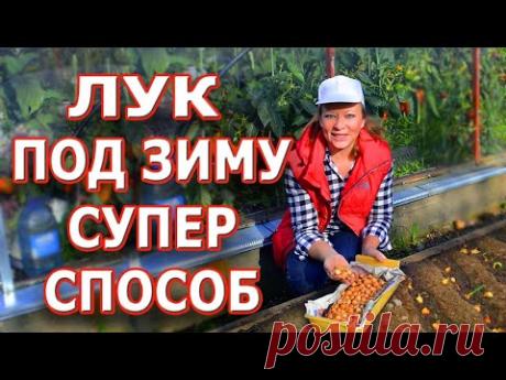 Супер способ посадки лука под зиму 🌿🌿🌿 Самая полная информация о посадке лука севка осенью. - YouTube Просматривайте этот и другие пины на доске огород пользователя Oleg.
Теги
Супер способ посадки лука под осень.
Как правильно посадить лук севок, чтобы урожай был хороший?
Если вы хотите вырастить большой и хороший урожай, то я советую в
Купить или заказать Валяный жилет 'Черный лебедь' в интернет-магазине на Ярмарке Мастеров.
Теплый женственный жилет из шерсти и меха норки.
Жилет имеет ассимет…