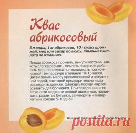 Квас абрикосовый