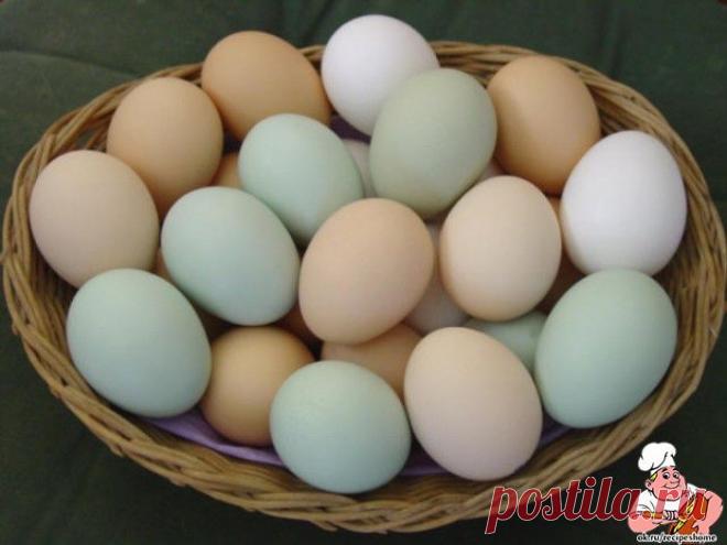5 советов, где куриное яйцо вам поможет! - RecipesHome.ru