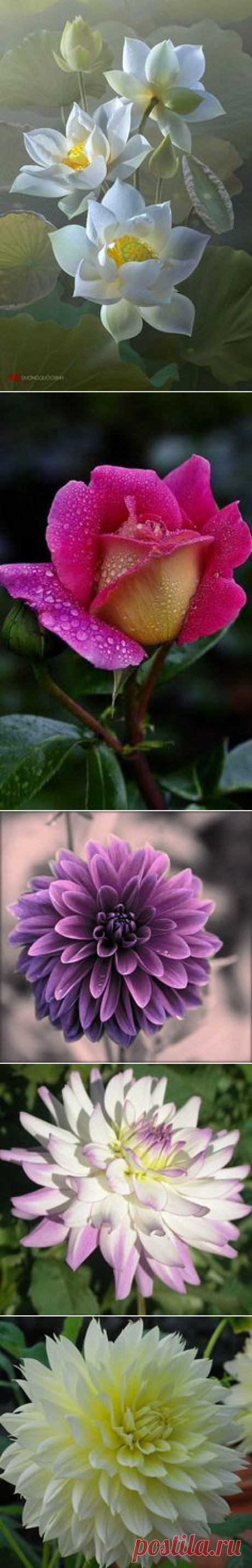(6) в pinterest • каталог мировых идей