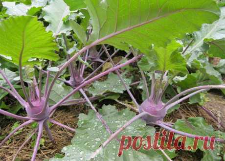 Тебе надо, ты и копай