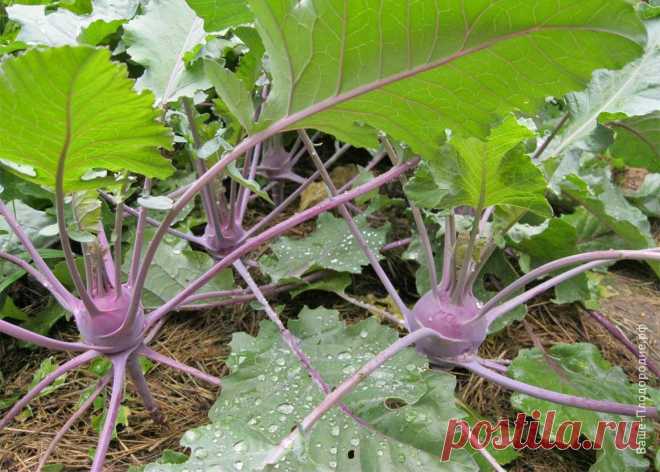 Тебе надо, ты и копай