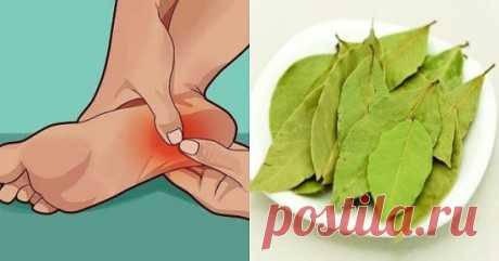 ЛАВРОВЫЙ ЛИСТ ПОМОЖЕТ БОЛЬНЫМ НОГАМ
Хороший рецепт для пожилых людей, у которых в старости начинают болеть ноги. Это может быть как из-за атеросклероза артерий, так и от воспаления мышц.
Купите в магазине три пачки лаврового листа. В первый день одну пачку всыпьте в десятилитровое ведро, вскипятите, дайте настояться и, как только вода остынет, чтобы ноги терпели, попарьте их минут 20.
Затем наденьте шерстяные носки. Воду не выливайте.
На второй день в это же ведро всыпьте следующую пачку лав