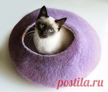 Коконы Vaivanat для кошек (Интернет-журнал ETODAY)