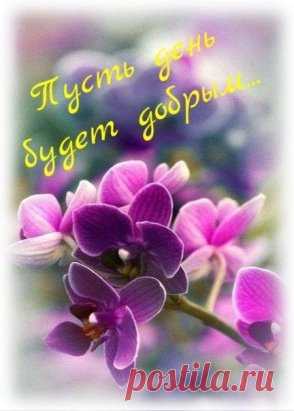 Доброго дня пожелайте друг другу, 
Вирус добра передайте по кругу.
Радостью всех заразите, теплом - 
Станем для ближнего светлым лучом.
Вечером добрым пусть день завершится. 
Все, что от Бога, пусть состоится !
#музыка