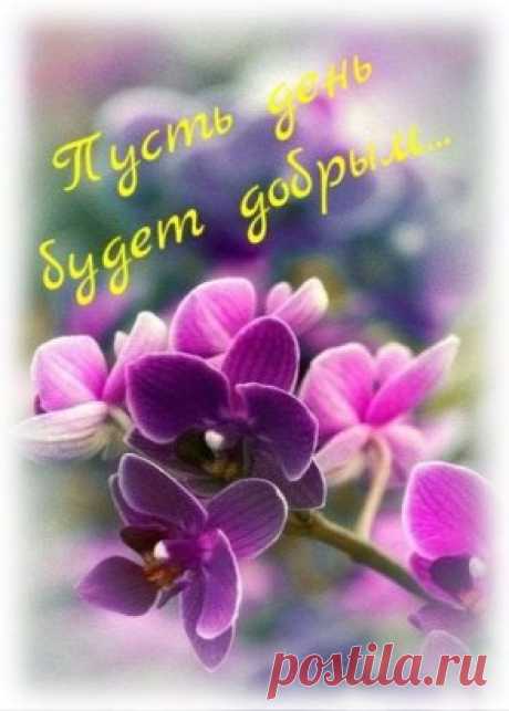 Доброго дня пожелайте друг другу, 
Вирус добра передайте по кругу.
Радостью всех заразите, теплом - 
Станем для ближнего светлым лучом.
Вечером добрым пусть день завершится. 
Все, что от Бога, пусть состоится !
#музыка