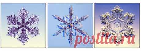 Научные опыты, доступные дошкольникам