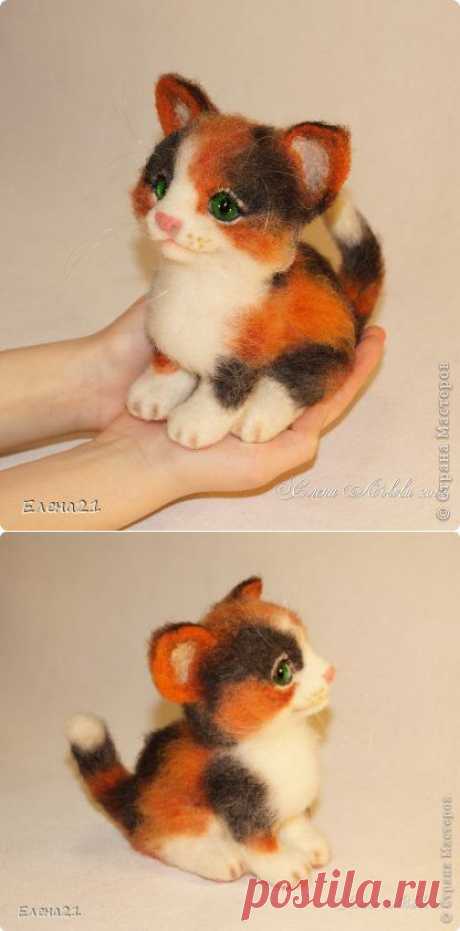 Котенок Маркиза | Страна Мастеров