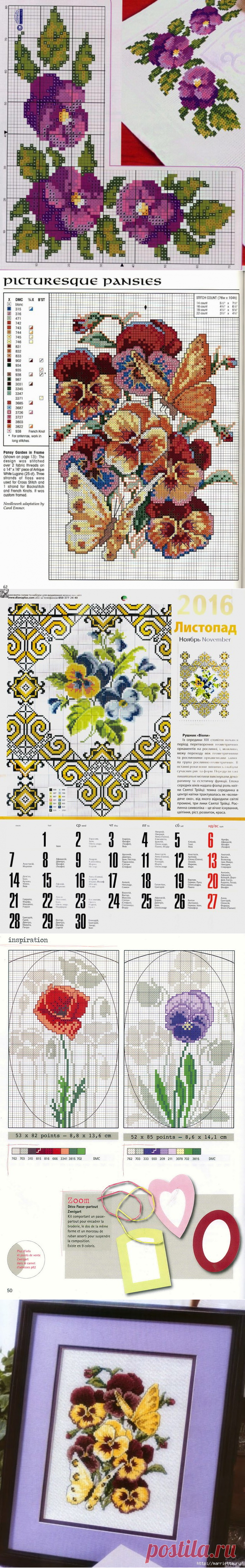 Анютины глазки - символ любви и верности. Подборка.