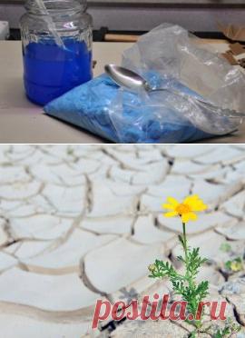 9 садовых цветов, которые можно вообще не поливать | Дизайн участка (Огород.ru)