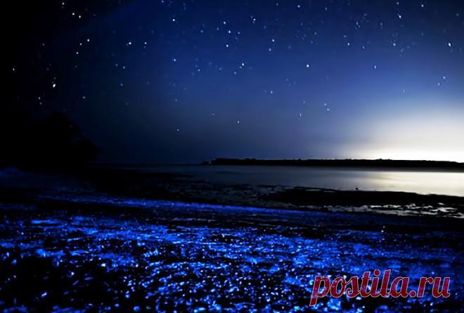 Самые красивые заливы мира С давних времен голубой свет воды в темноте вызывал у людей одновременно страх и восхищение. Сотни лет назад никто даже не догадывался о таком явлении, как люминесценция, поэтому подобная подсветка бы...