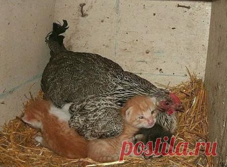 Мамочка! И этим все сказано.