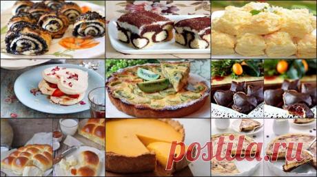 Дневник Бирутэ_Залатор