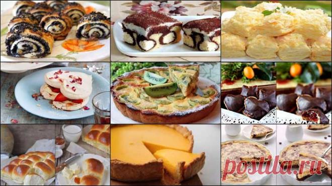 Дневник Бирутэ_Залатор