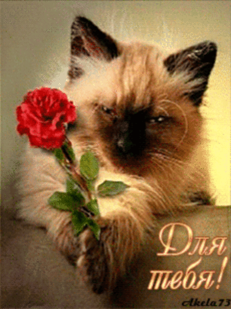 Мой Мир@Mail.Ru