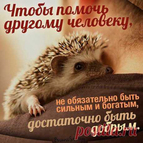 После 40 жизнь только начинается