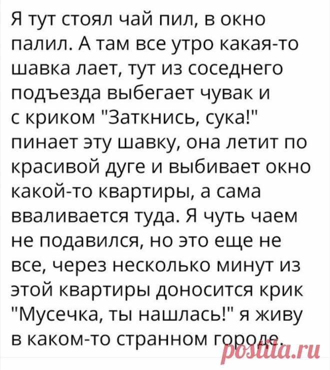 Выпуск №5626 - выпуск анекдотов сайта вокруг смеха
