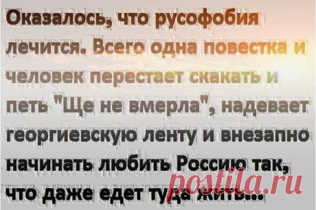 Поцреот Реальный