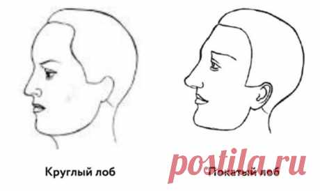 Характер мужчины по форме его лба:
Что говорит форма лба мужчины — широкий лоб, узкий, вогнутый, закругленный, покатый — о его характере
Эксперты в области физиономии (по-старому, физиогномики) придают чертам лица человека немалое значение. Так, они считают, что по форме лба можно кое-что узнать о характере мужчины, например: