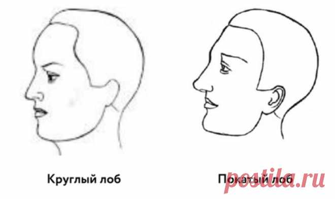 Характер мужчины по форме его лба:
Что говорит форма лба мужчины — широкий лоб, узкий, вогнутый, закругленный, покатый — о его характере
Эксперты в области физиономии (по-старому, физиогномики) придают чертам лица человека немалое значение. Так, они считают, что по форме лба можно кое-что узнать о характере мужчины, например: