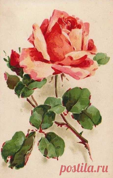 (723) Vintage Images: Catherine Klein postcards | Projects to Try