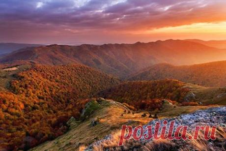 (1) Моята България