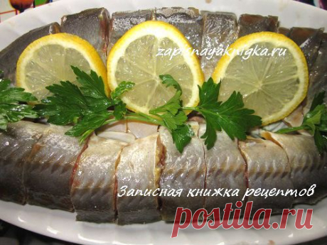 Стерлядь рецепт засолки | Записная книжка рецептов Анюты