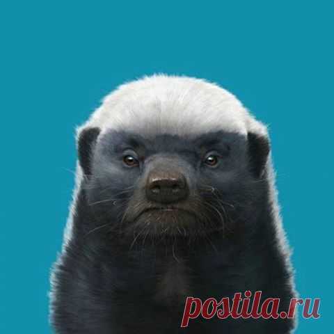 Вот самый вдохновляющий пример мотивации, статьи и книги не нужны: Главной знаменитостью реабилитационного центра для диких животных Мохолохоло в Южной Африке является один медоед. Отличился он многочисленными и успешными побегами из вольера. К тому же он - старожил, живет на ферме больше десятка лет и людей с самого начала ни в грош не ставил (потому и попал в приют). Сначала вольер ему обустроили со вкусом - с палками, камнями, кустиком посередине, чтобы не скучал. Зверь сгреб все камни в…