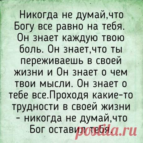 (5) Одноклассники