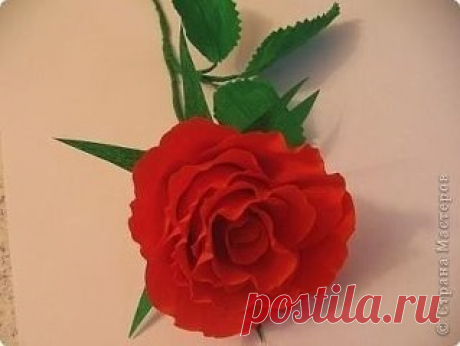 (84) Одноклассники