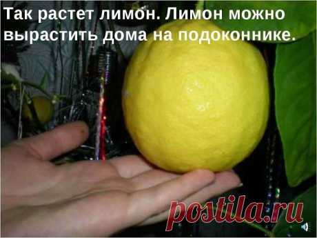 (67) Одноклассники