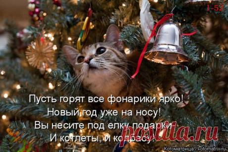 новый год на носу