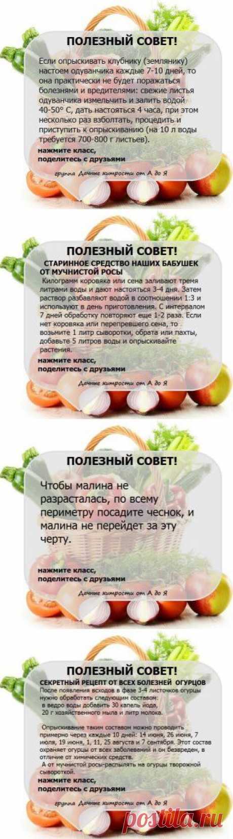 (23) Одноклассники