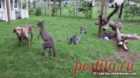 Популярное – Google+