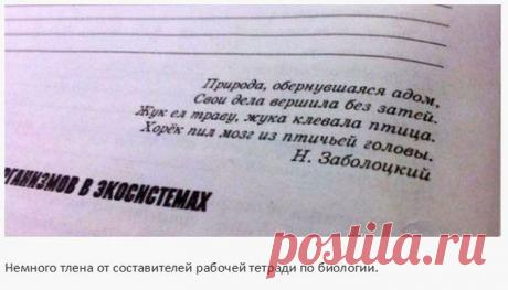 Идиотизмы и странные задания в школьных учебниках (25 фото) » Лента приколов Коляна