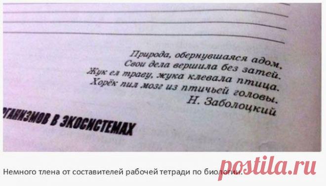 Идиотизмы и странные задания в школьных учебниках (25 фото) » Лента приколов Коляна