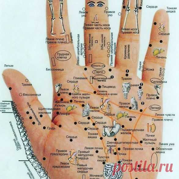 Нет описания фото.