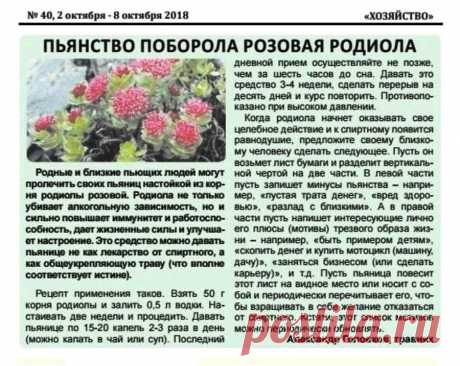 Пьянство поборола родиола розовая