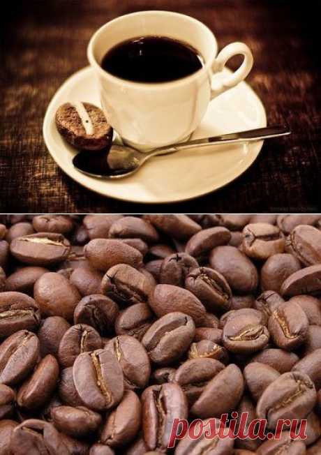 77 фактов о кофе