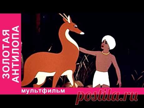 Золотая Антилопа. Советские мультфильмы. Союзмультфильм. StarMediaKids