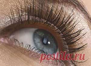 Как правильно красить ресницы тушью - Сосед-Домосед