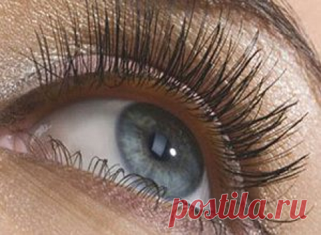 Как правильно красить ресницы тушью - Сосед-Домосед
