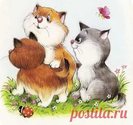 Котики Марии Емельяновой – ZooPicture.ru