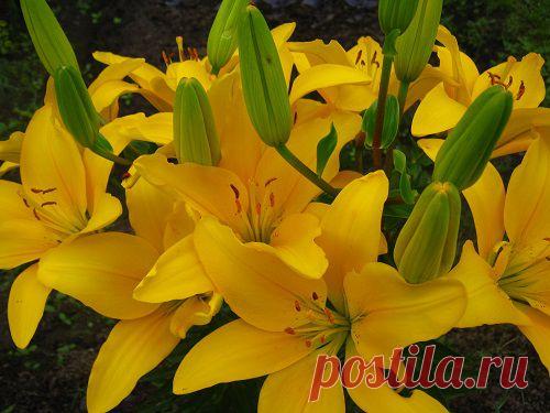 Елена щаднова ‏@leoyanik 1 апр.

Салат из курицы с грибами и сыром. Рецепт с фото - Как приготовить | ГОТОВИМ ДОМА РЕЦЕПТЫ http://gotovim-doma-retsepty.ru/zakuska/salat-iz-kuritsy-s-gribami-i-syrom#more-5805 …