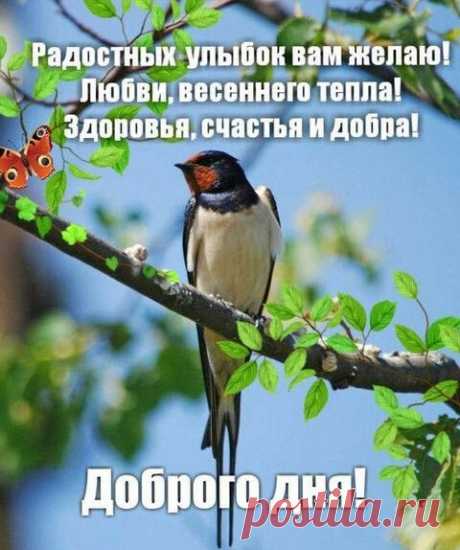 (1) Pinterest